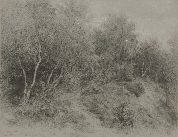 Waldweg bei Königstein Falkenstein 1882