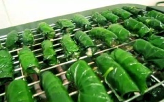 Cho các cuộn lên bếp nướng đến khi chín là được.