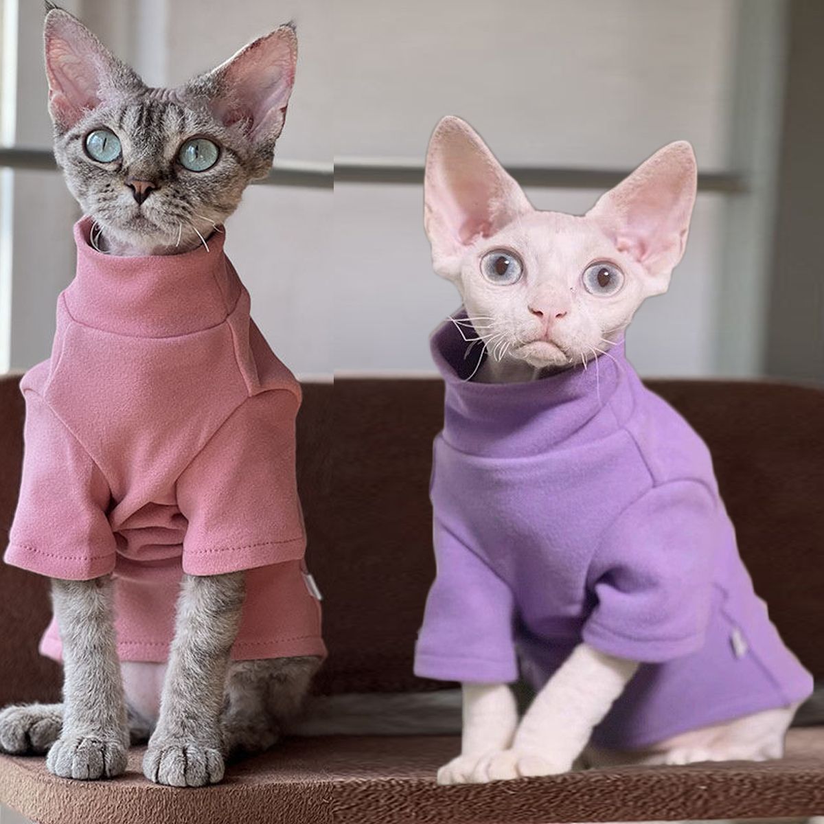 Dog coat made from sweatshirt fabric with pockets