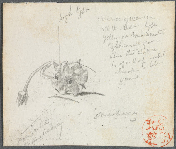 Strawberry Blossom c 1850 1910