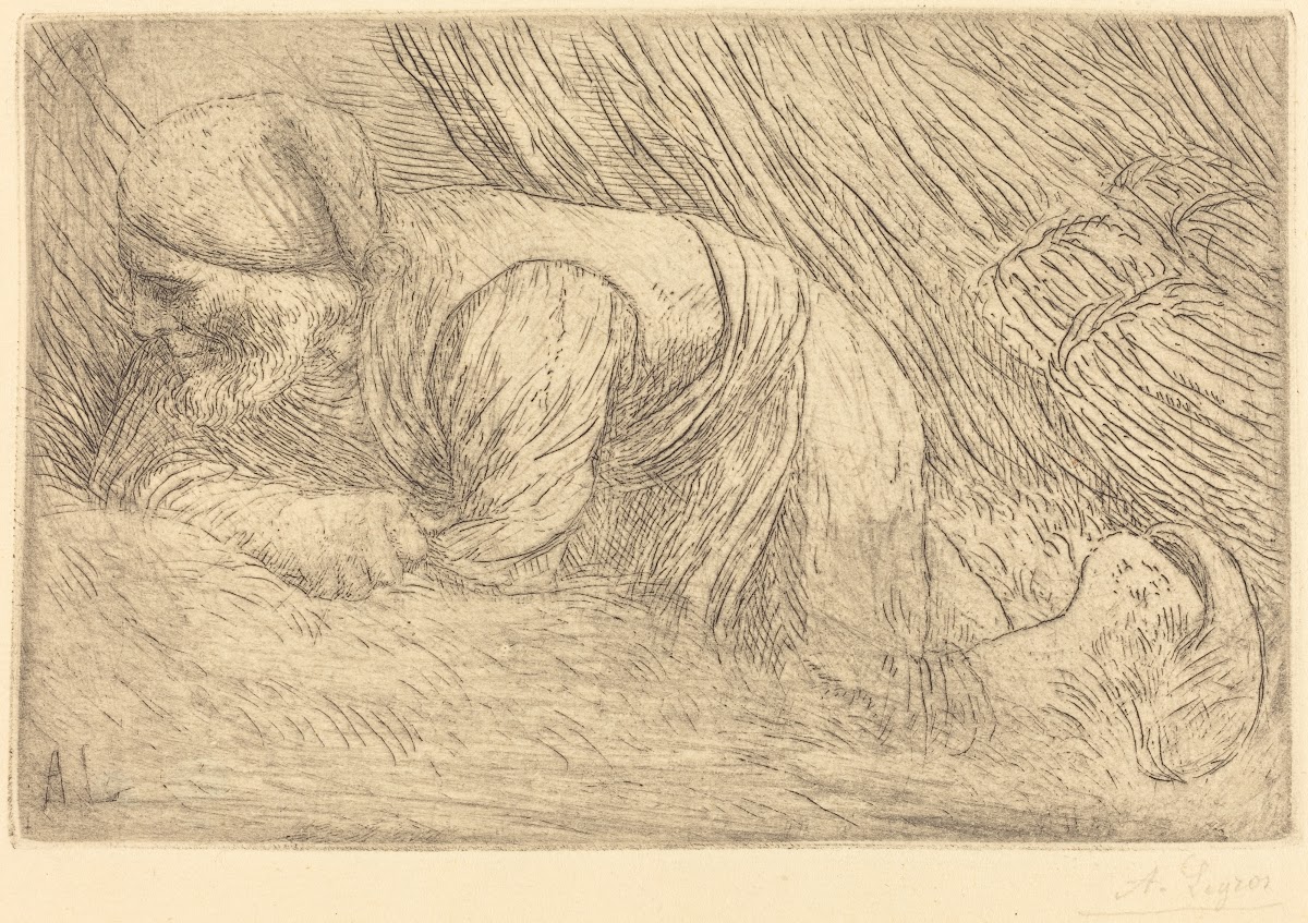Fagot gatherer Le fagotier