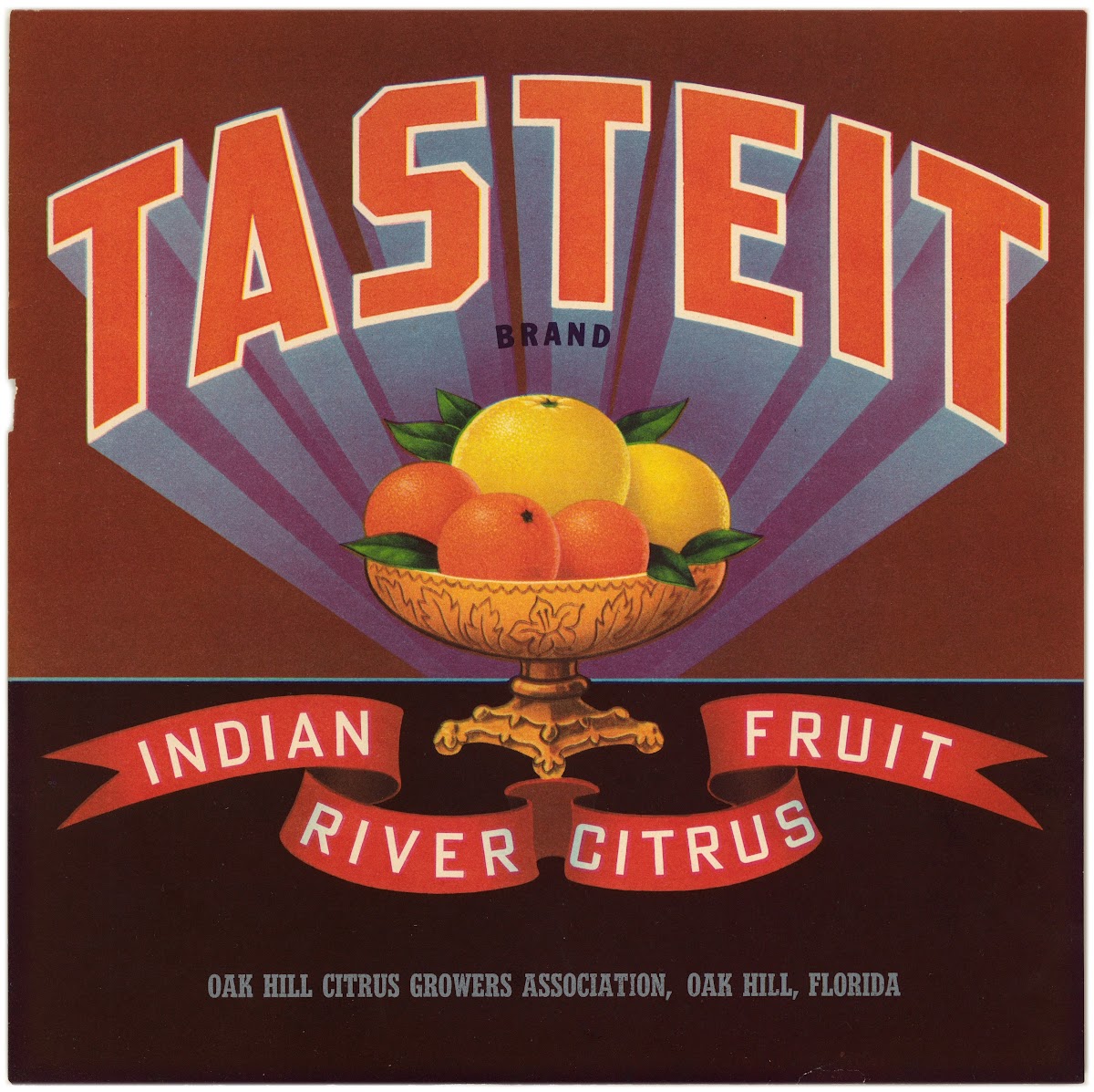 TasteIt Brand Citrus Label 1930s
