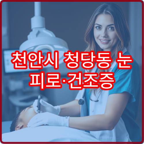 천안시 청당동 눈 피로·건조증 치료 가능한 안과 야간 병원