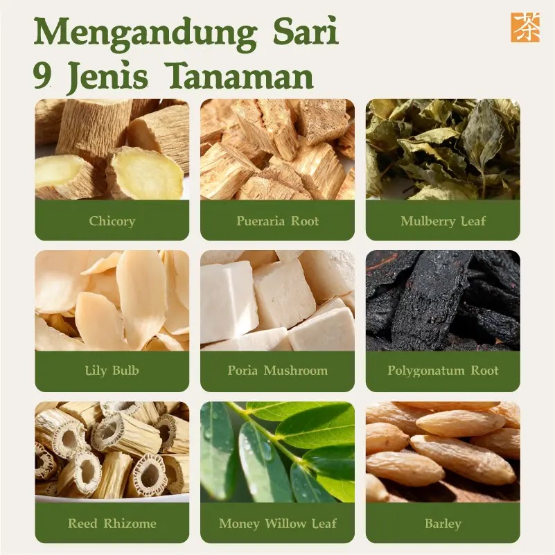 Tea Product 5