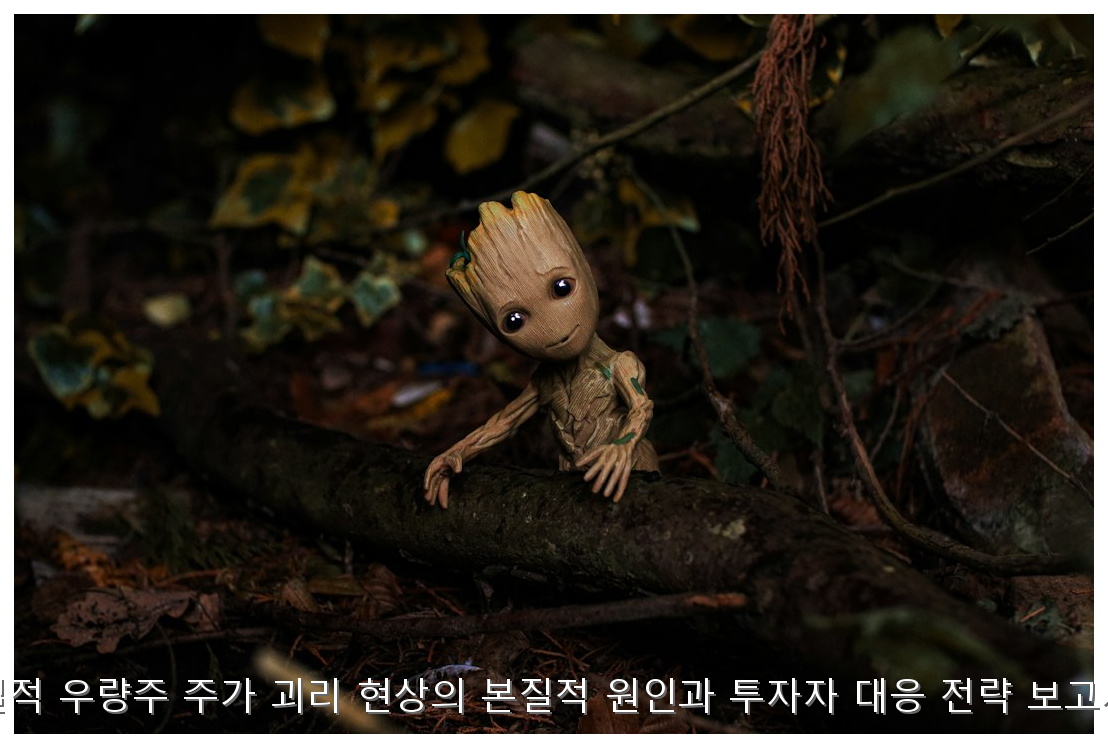 실적 우량주 주가 괴리 원인과 투자 전략 핵심 안내 및 분석 인포그래픽 (5)