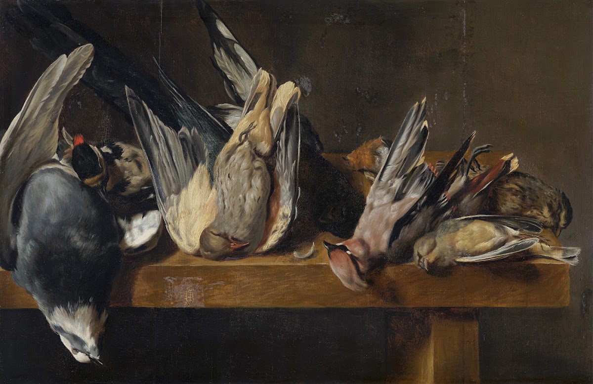 Dead Birds