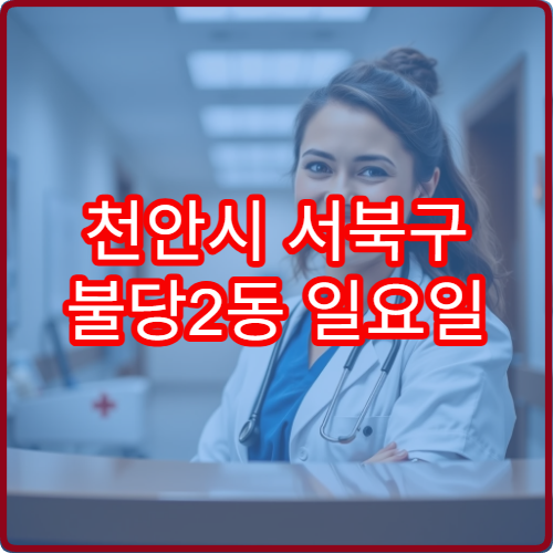 천안시 서북구 불당2동 일요일 치과 진료 병원 교정 상담 가능