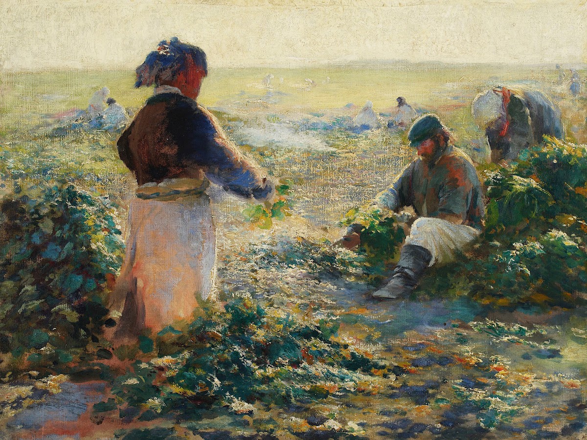 Digging Beets I