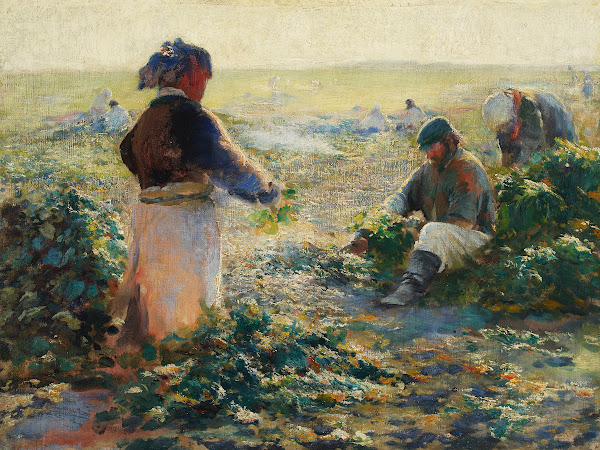 Digging Beets I