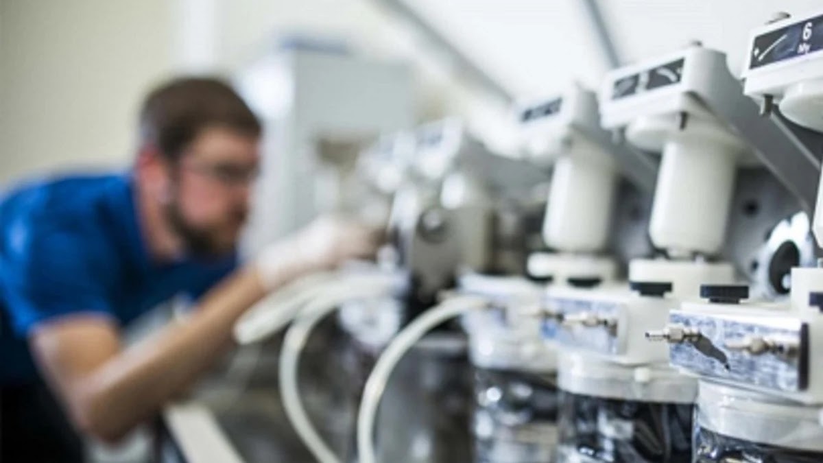 미래 유망 IT 직업 7가지와 자격증 준비 전략