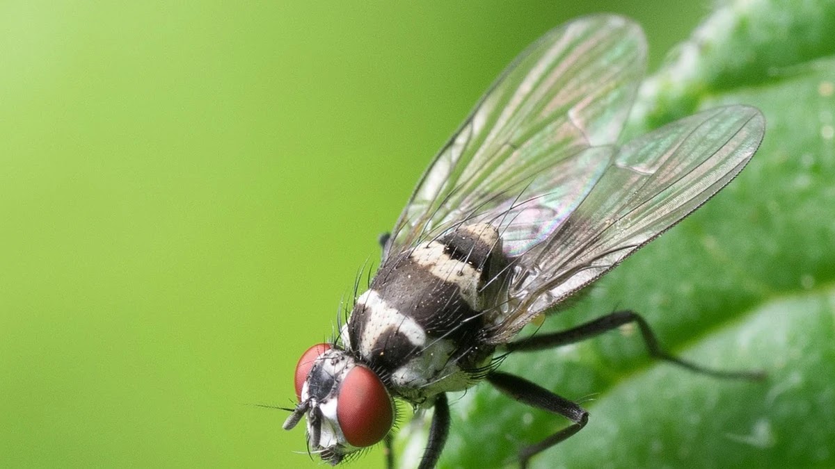 복리와 단리 이자 계산법 차이 및 금융 상품 선택 가이드