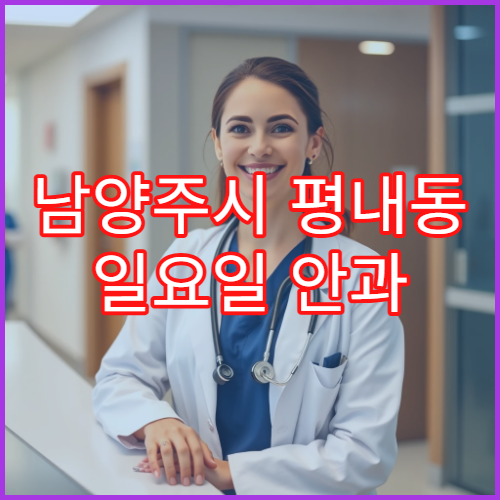 남양주시 평내동 일요일 안과 결막염 눈곱 충혈 치료