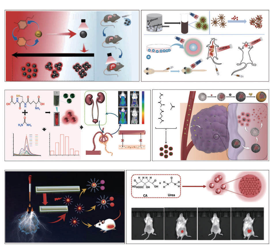 Near-infrared carbon dots: pioneering emerging frontiers in biomedical applications