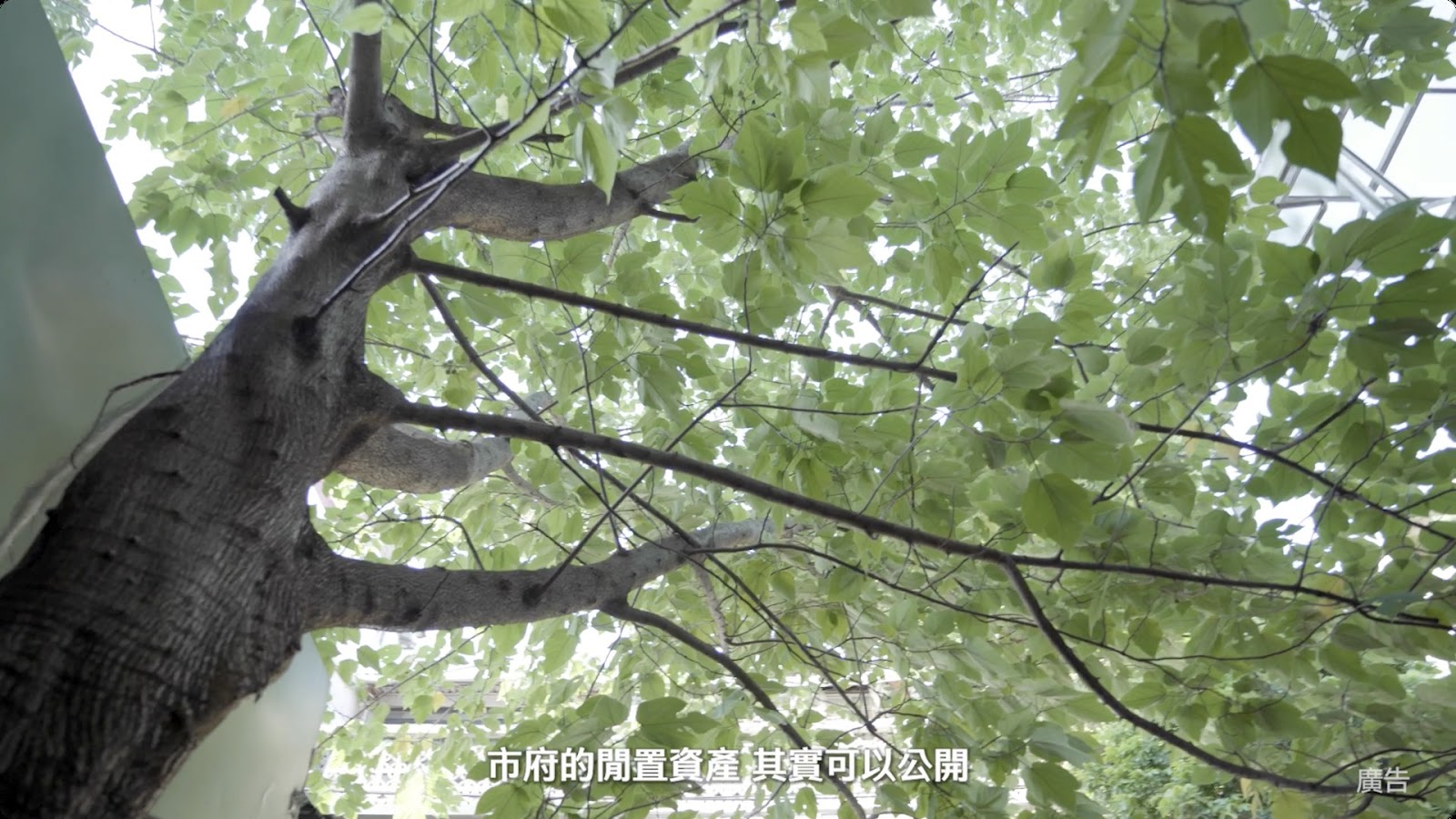 公產科 screenshot 10