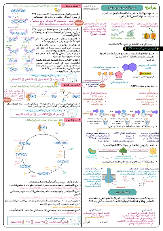 صورة الغلاف