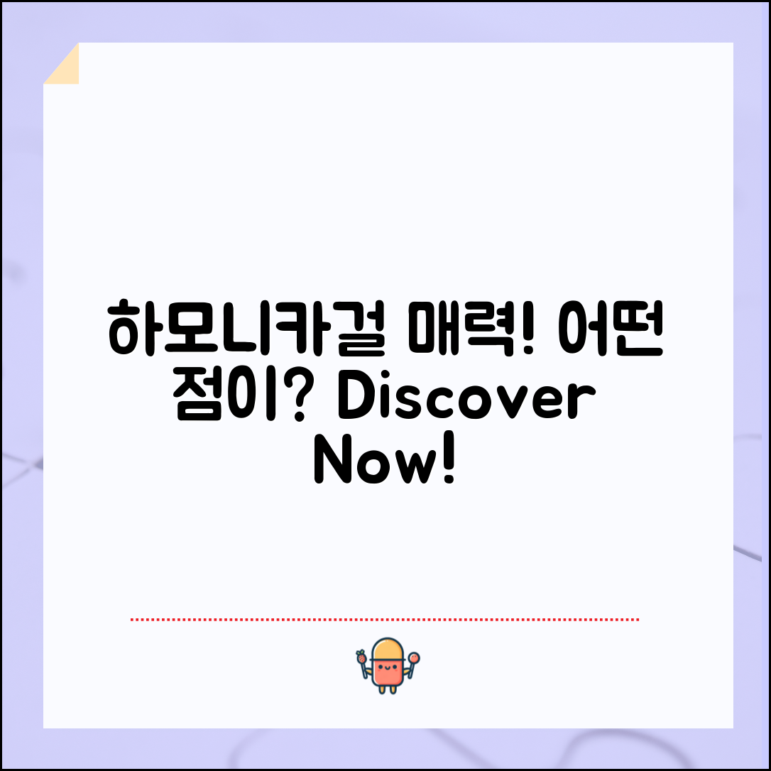 하모니카걸이의 매력, 어떤 점일까요?