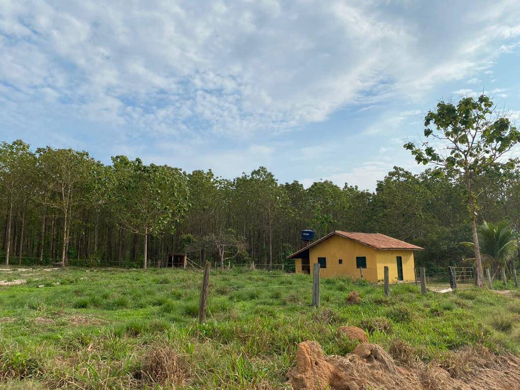 Fazenda em Cumaru do Norte - PA 7