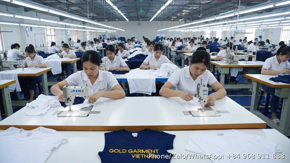Bulk T-Shirt Suppliers - Gold Garment Vietnam