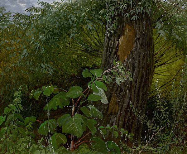 Willow trunk with undergrowth circa 1820