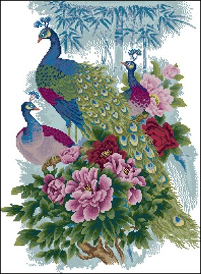 CMP 360474 Pattern