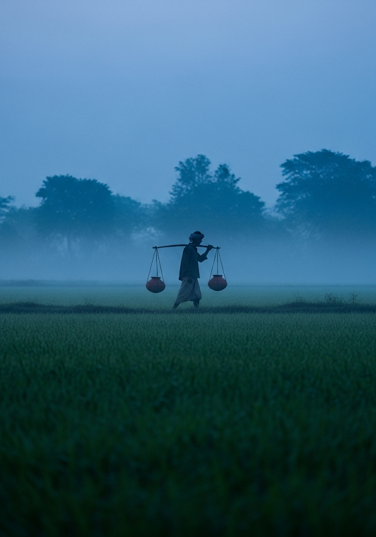 Farmer Carrying Palm Sap Dawn
