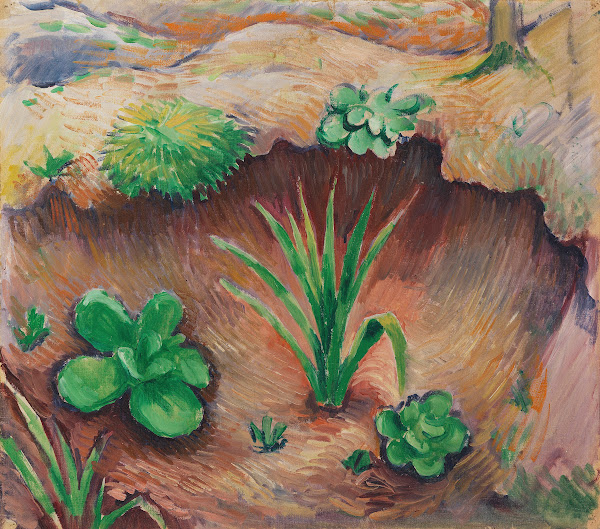 Pflänzchen im Wald 1910