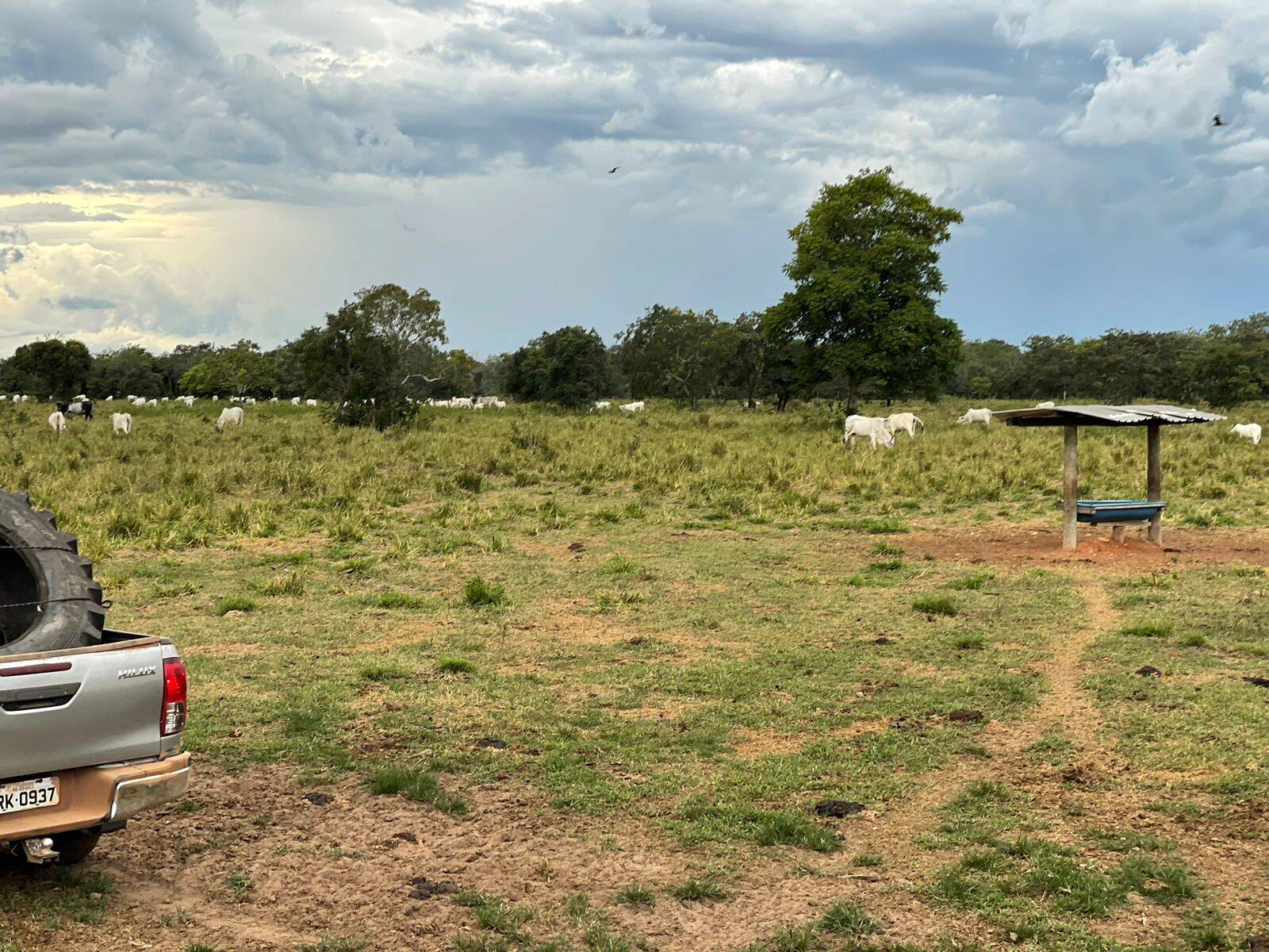 Fazenda em Cocalinho - MT 3