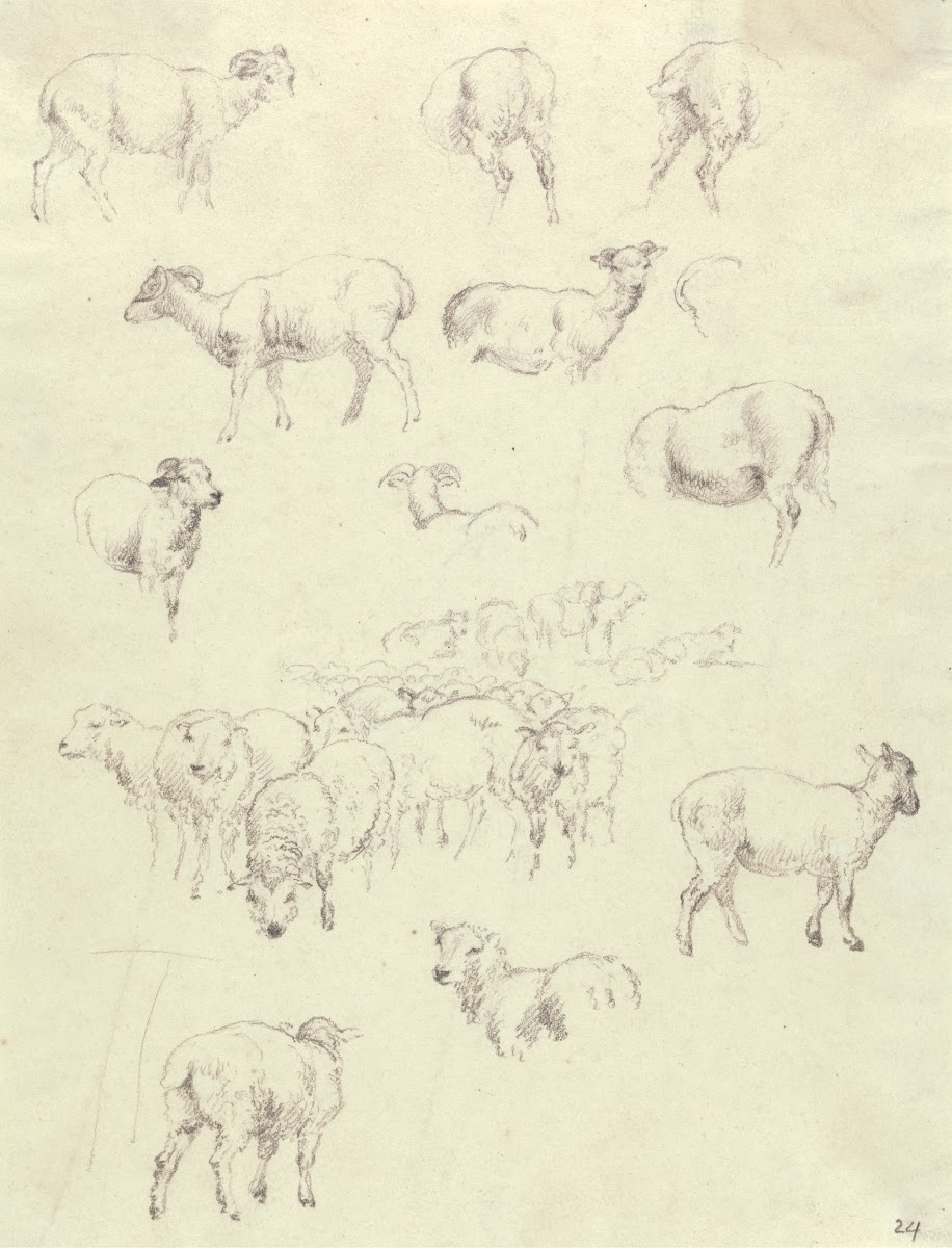Flock of Sheep after 1794
