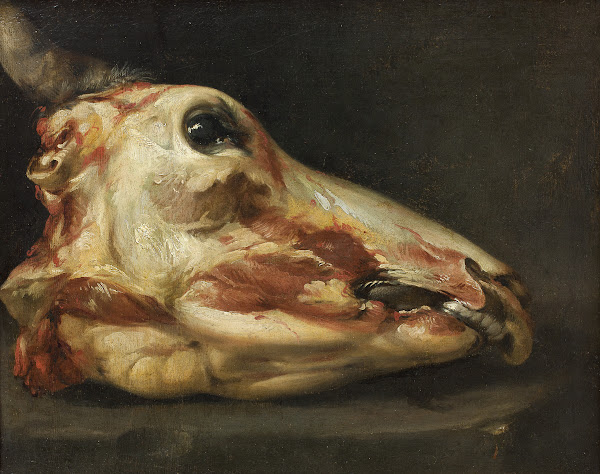 Skinned Head Of An Ox 1688  1691