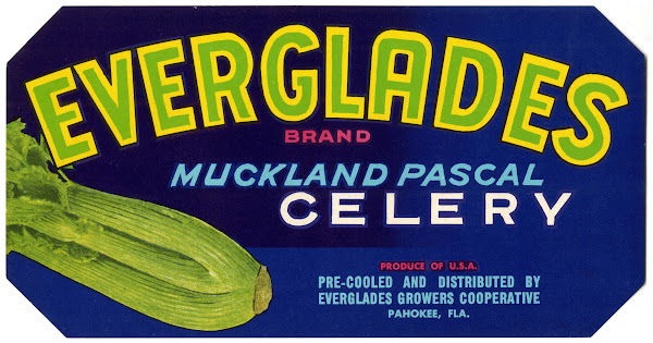 Everglades Brand Muckland Pascal Celery Label 1930 1950