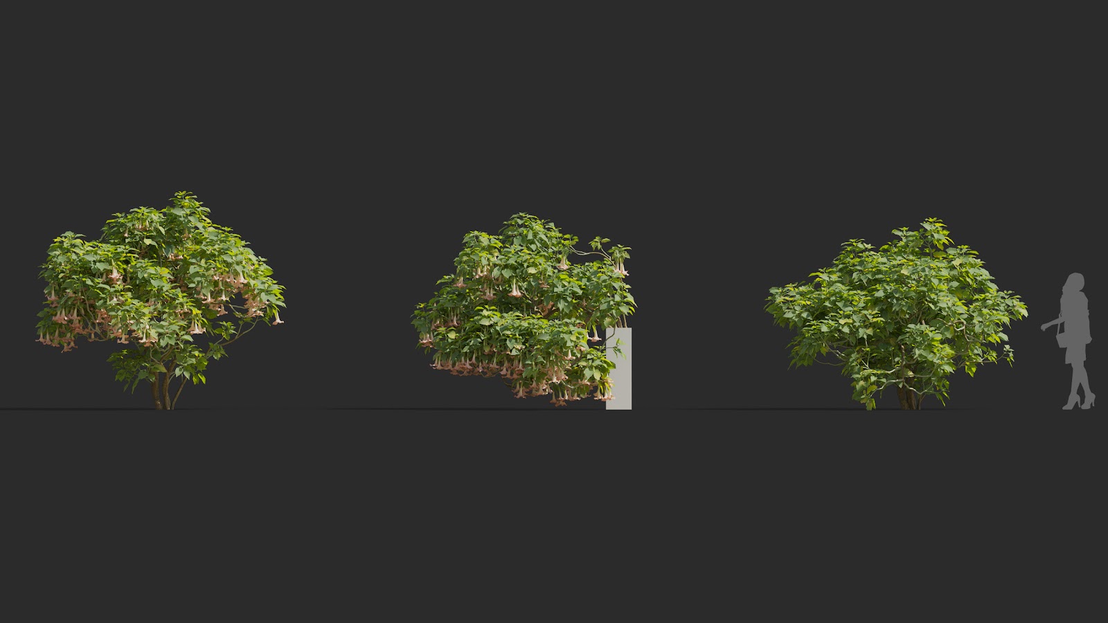 Maxtree - Plant Models Vol.72