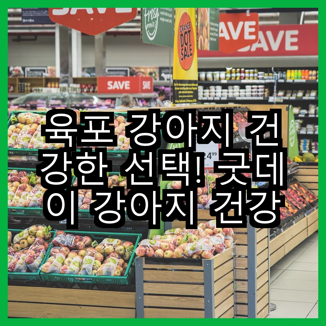 육포 강아지 건강한 선택! 굿데이 강아지 건강한 육포 vs 굿데이 건강한 육포 강아지 간식, 어떤 것이 더 매력적일까? 썸네일