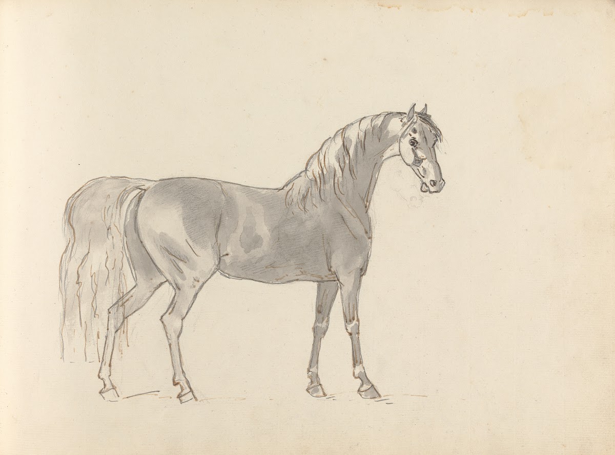Fourty three Studies of Horses and Riders Pl31 1787