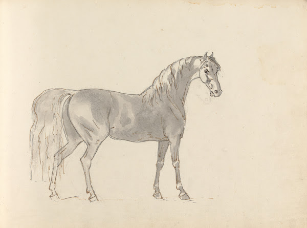 Fourty three Studies of Horses and Riders Pl31 1787