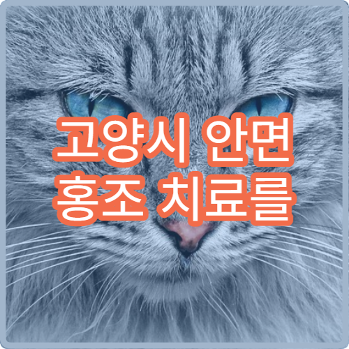 고양시 안면 홍조 치료를 잘하는 피부과 병원 추천 리스트