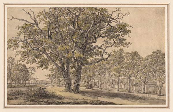 Landscape 18001843