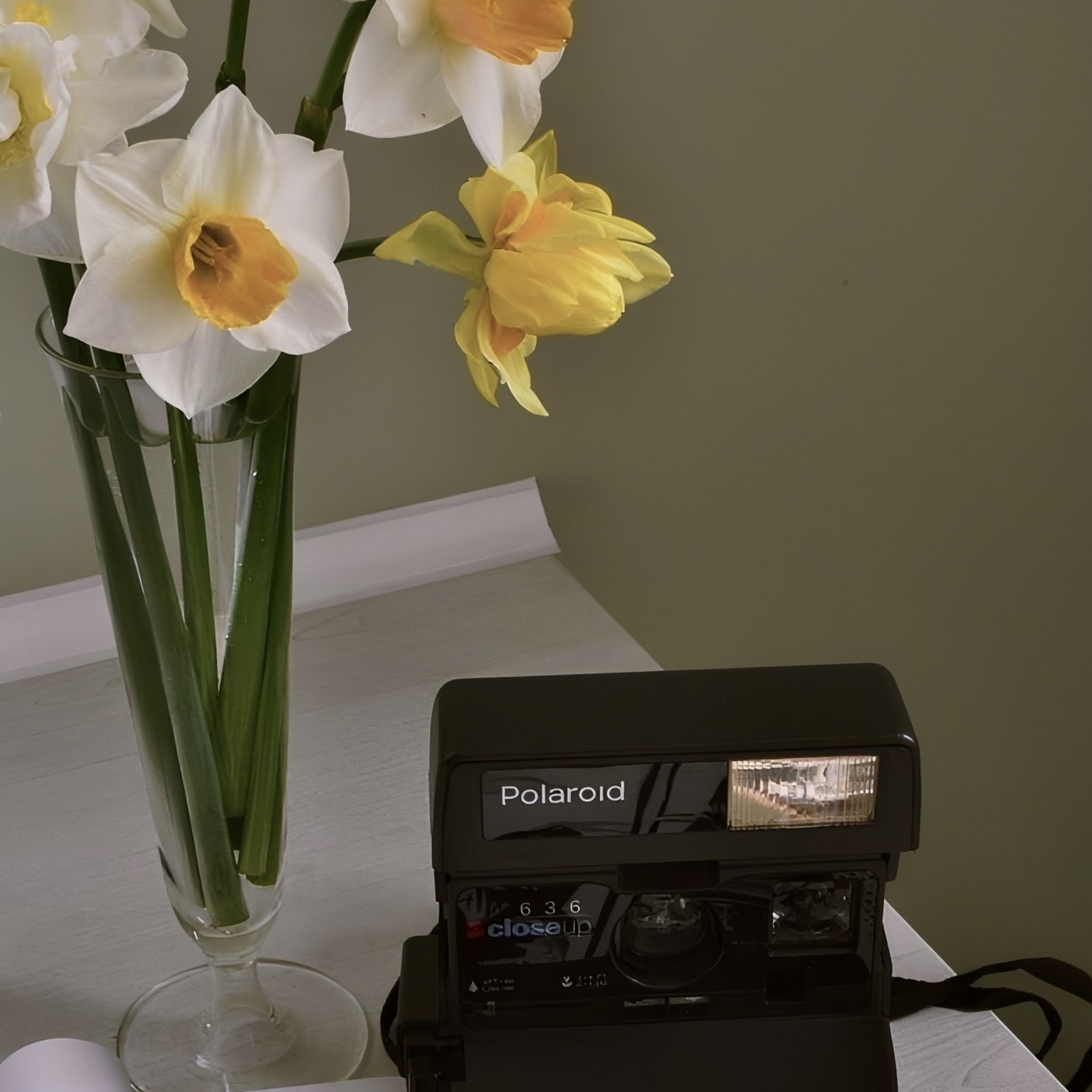 Download Polaroid Camera Next To Daffodils Full HD iPhone