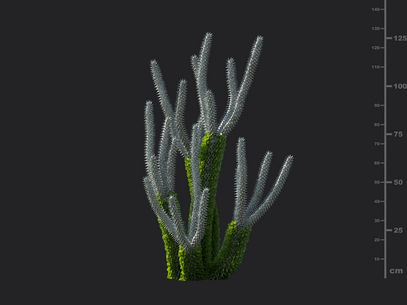 Maxtree - Plant Models Vol.130