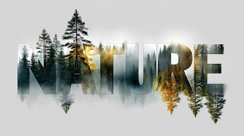 Nature Wallpaper