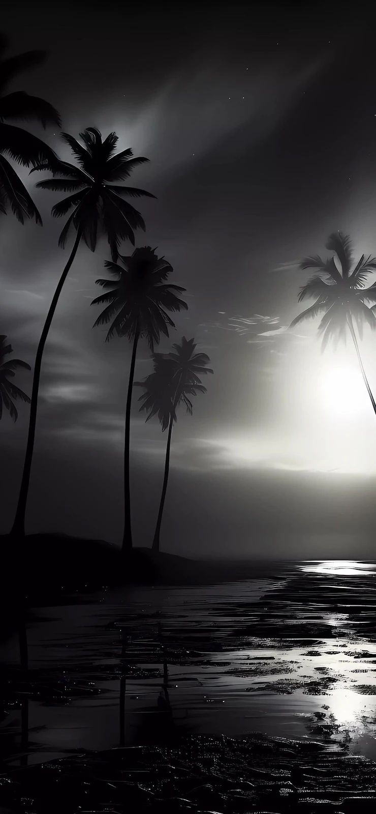 Moody Tropical Beach At Night - Monochrome Photography Full HD iPhone Wallpaper (1284x2778)