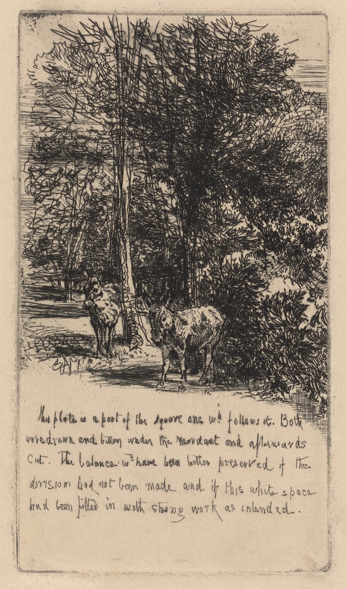 The Two Asses 1863