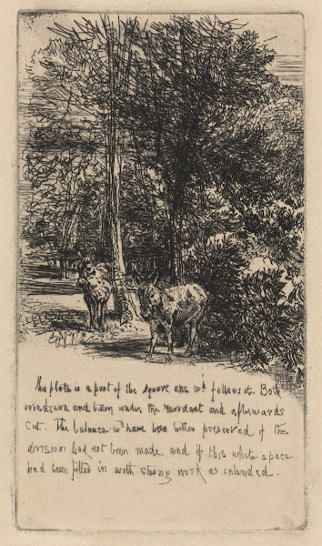 The Two Asses 1863