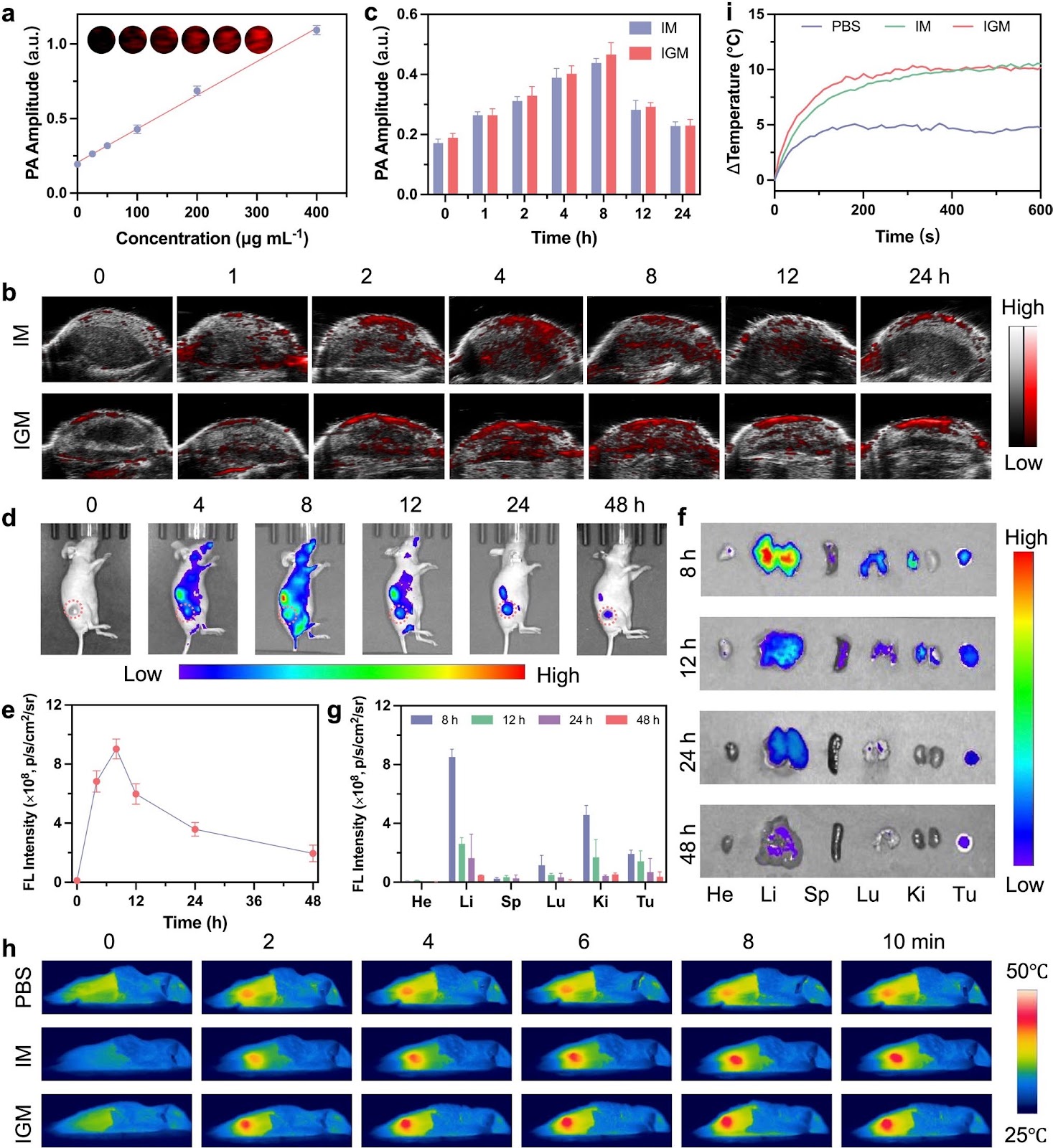 Refining Single-Atom Catalytic Kinetics for Tumor Homologous-Targeted Catalytic Therapy