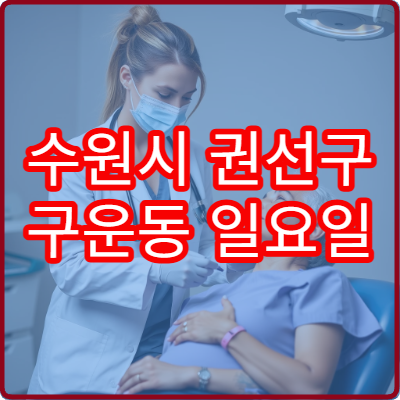 수원시 권선구 구운동 일요일 운영 병원 리스트