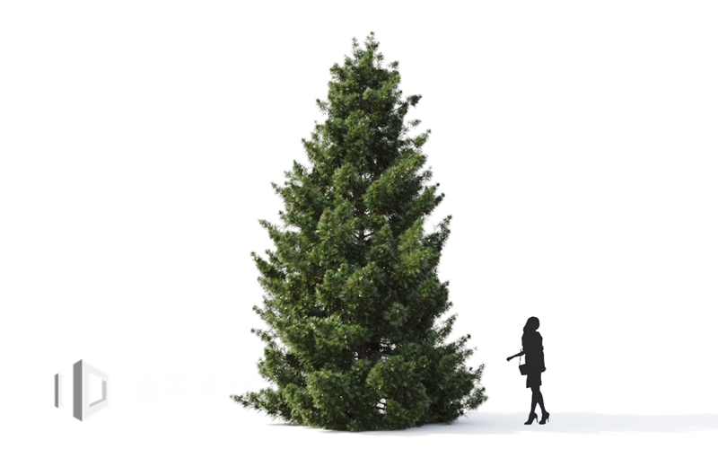 Maxtree - Plant Models Vol.9