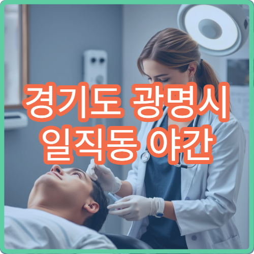 경기도 광명시 일직동 야간 산부인과 진료 병원