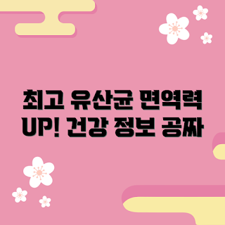 유산균 추천, 왜 유산균이 필요한가, 유산균의 효과, 어떻게 면역력을 높일까, 건강한 장을 위한 유산균