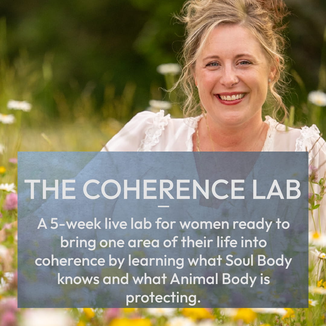 The Coherence Lab