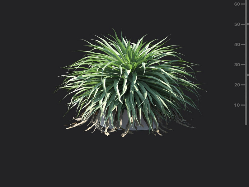 Maxtree - Plant Models Vol.115
