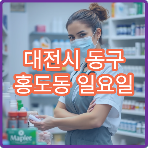 대전시 동구 홍도동 일요일 당직약국 주말 운영 약국 정리